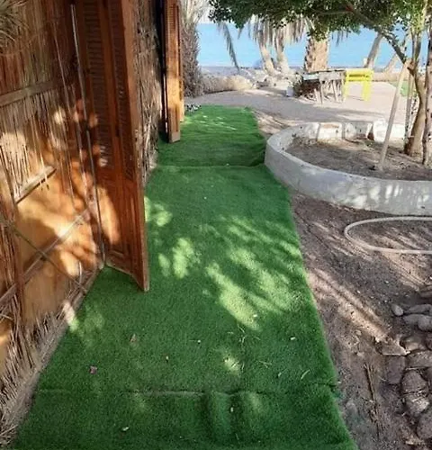 Dolphin Camp Ostello Nuweiba`