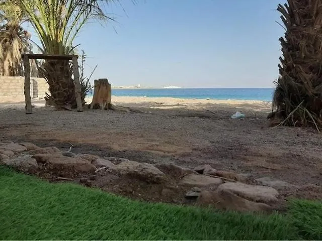Dolphin Camp * Nuweiba`